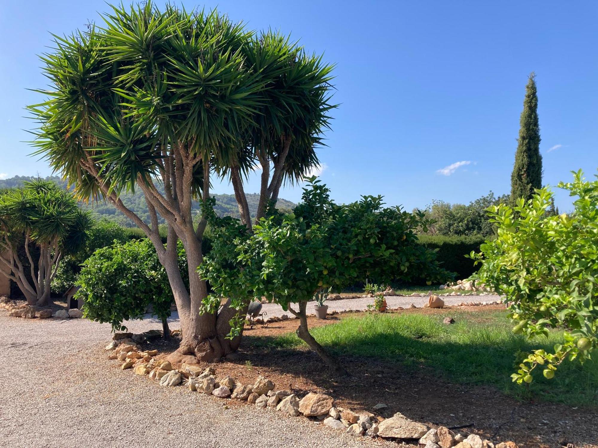 Casa Eden With Private Pool Villa Artá Dış mekan fotoğraf